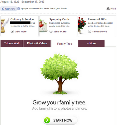 This is an example of funeralOne's f1Connect social memorial websites.